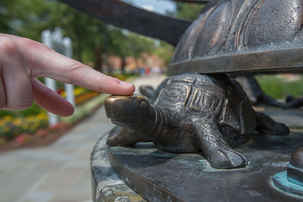 Student rubbing turtle head for good luck