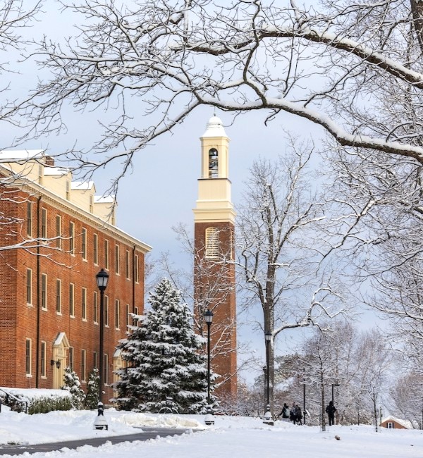 One of Miami University's Oxford campus bell towers lays in the distance with tree branches arching over it blanketed in snow