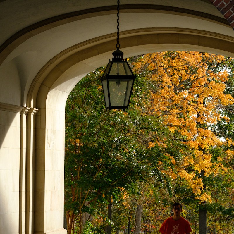 Lantern in Upham Arch.