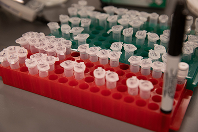 Storage racks with rows of labeled sample vials in a laboratory setting.