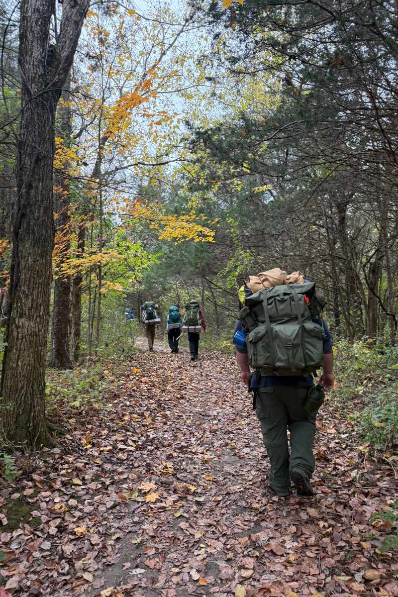 students walking a trail