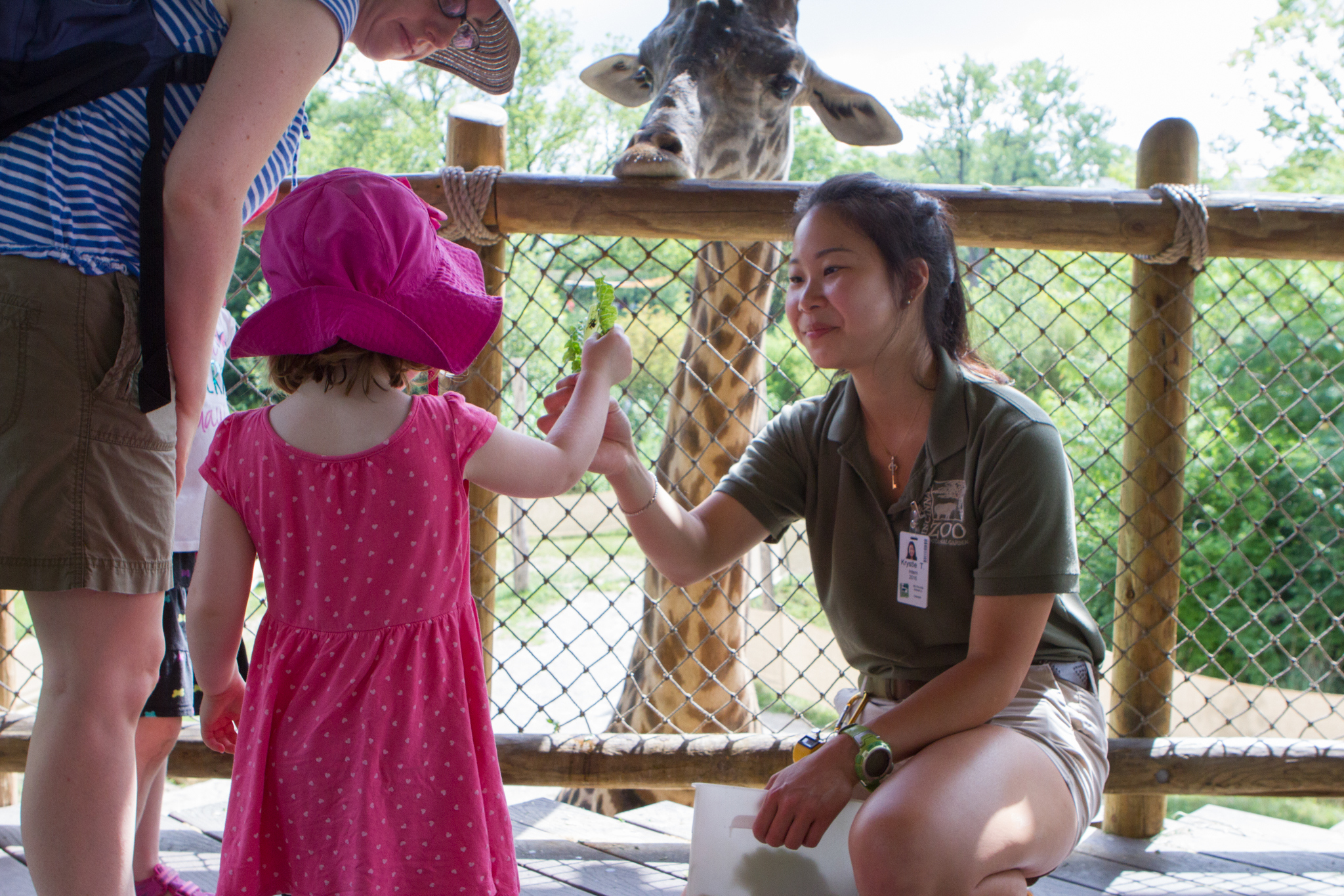 A student intern at the Cincinnati zoo high fives a young child while a giraffe looks on.