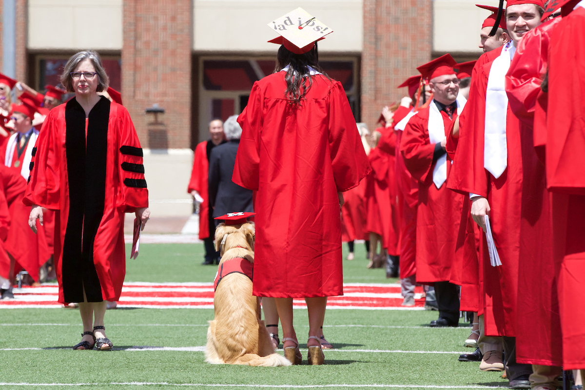 A graduate and a service dog walk toward the stage at a commencement ceremony. Both wear graduation caps.