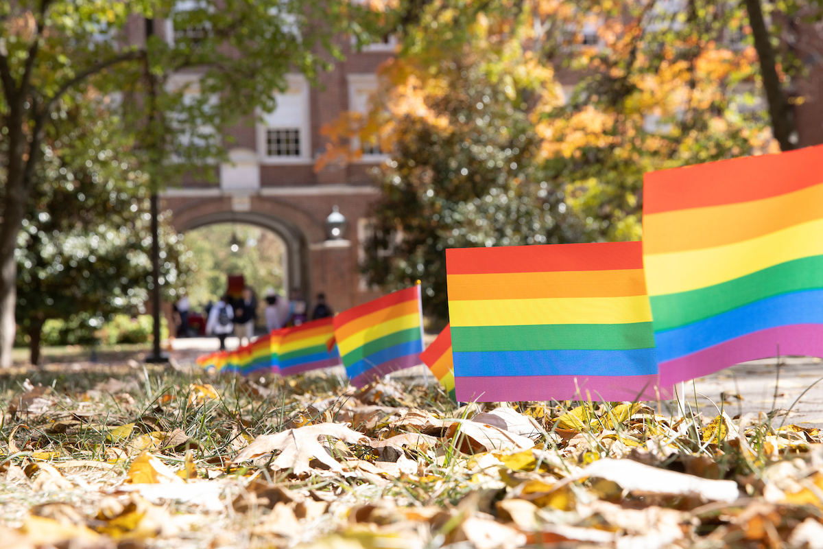 Pride flags line the walkway in the quad on National Coming Out Day.