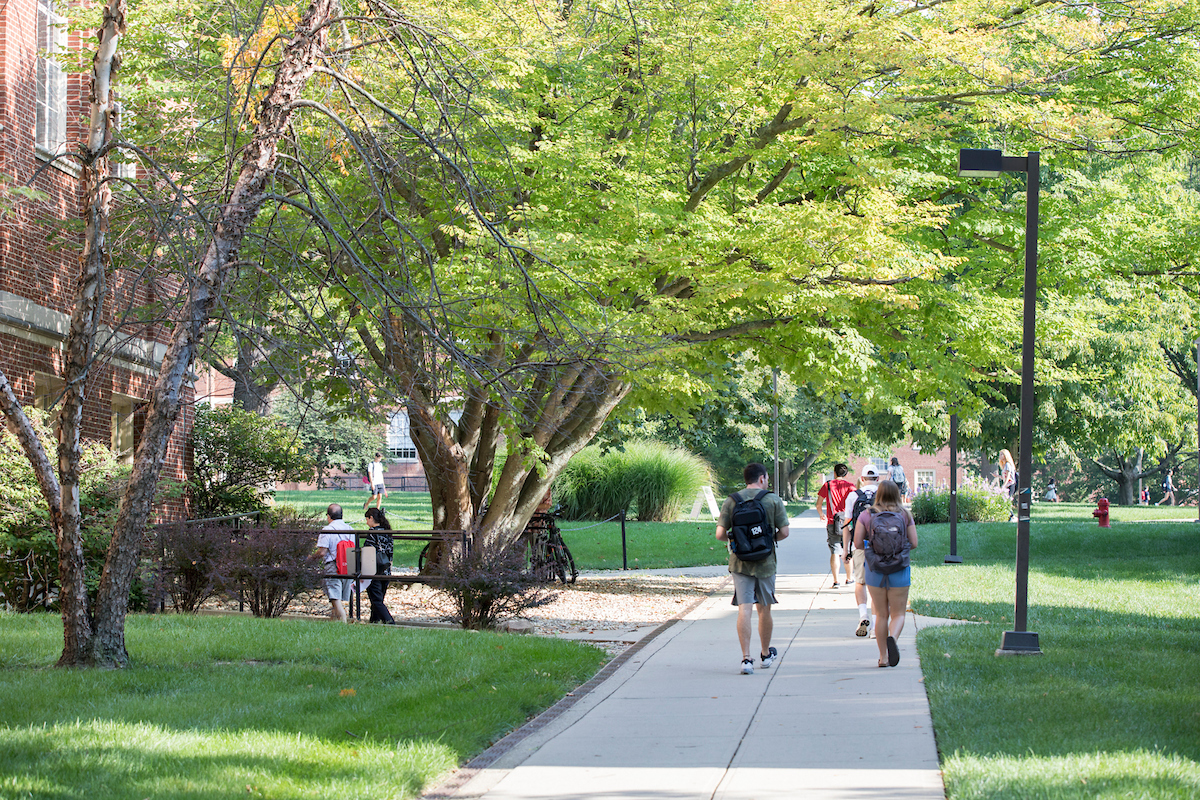 Students walk to class through the quad.