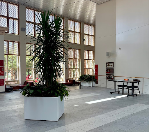 Large plant in the Armstrong Atrium