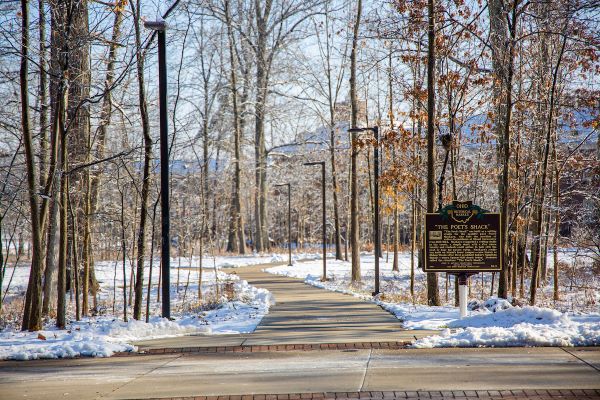 Bishop Woods in the wintertime