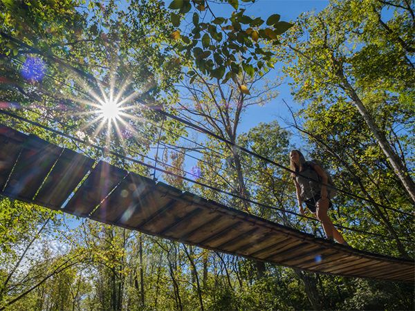 student walking across a bridge out in the natural areas