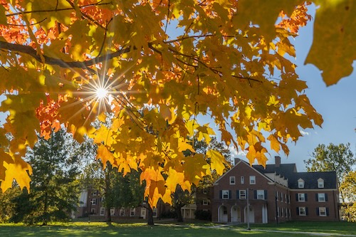 Sunshine peaking through trees on a fall day
