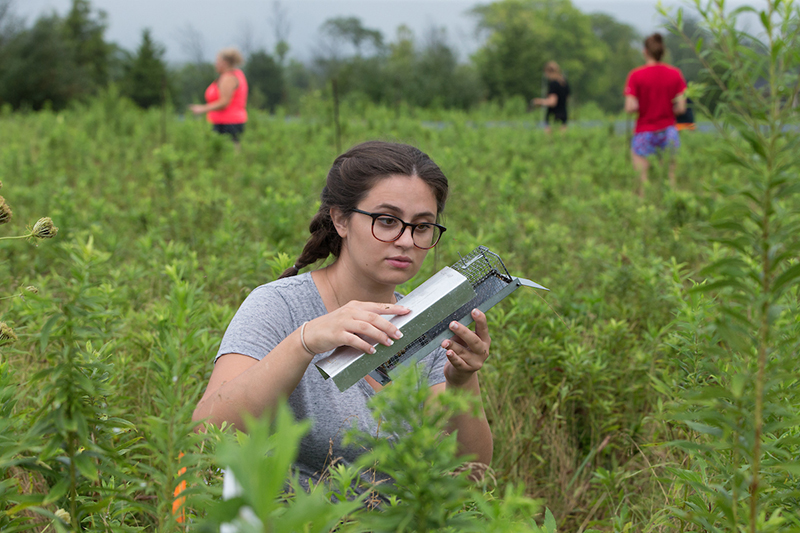 student doing research at the ecology research center