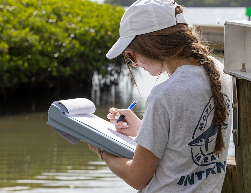 student conducting research