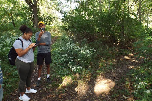 students mapping the trails in the natural areas