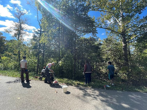 Students working on the side of a path of the natural areas, removing honeysuckle