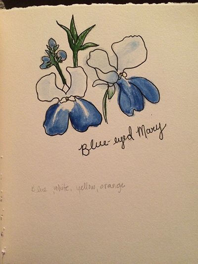 Blue Eyed Mary