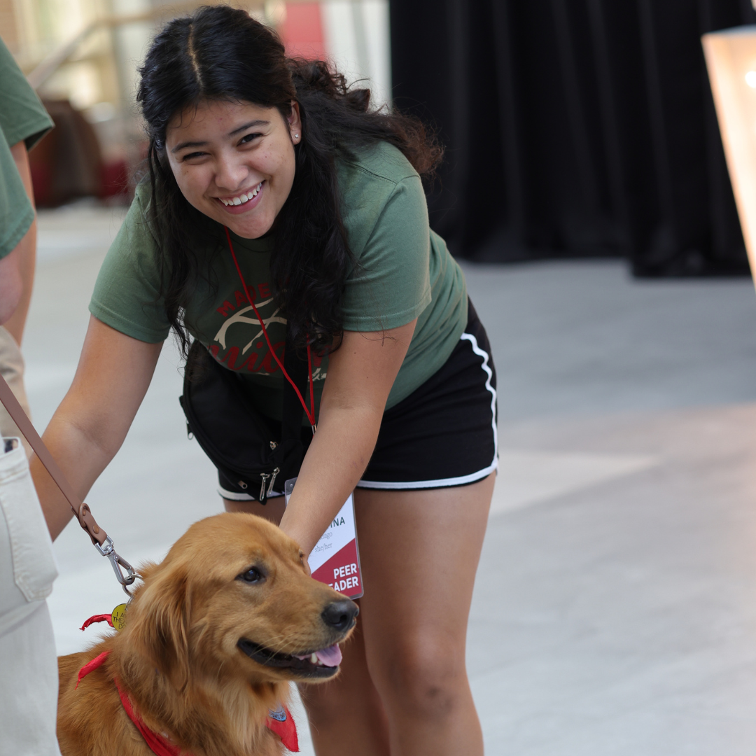 One student in a green MADE at Miami shirt, leaning down to pet a golden retriever in Armstrong. 