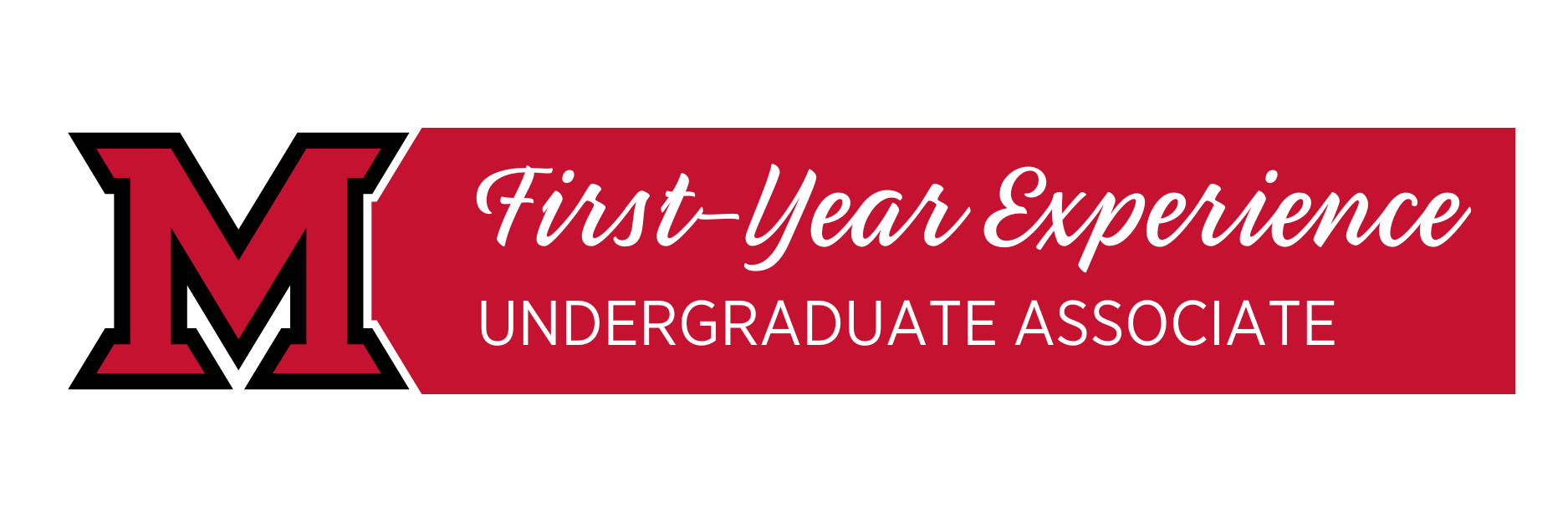 First-Year Experience Undergraduate Associate