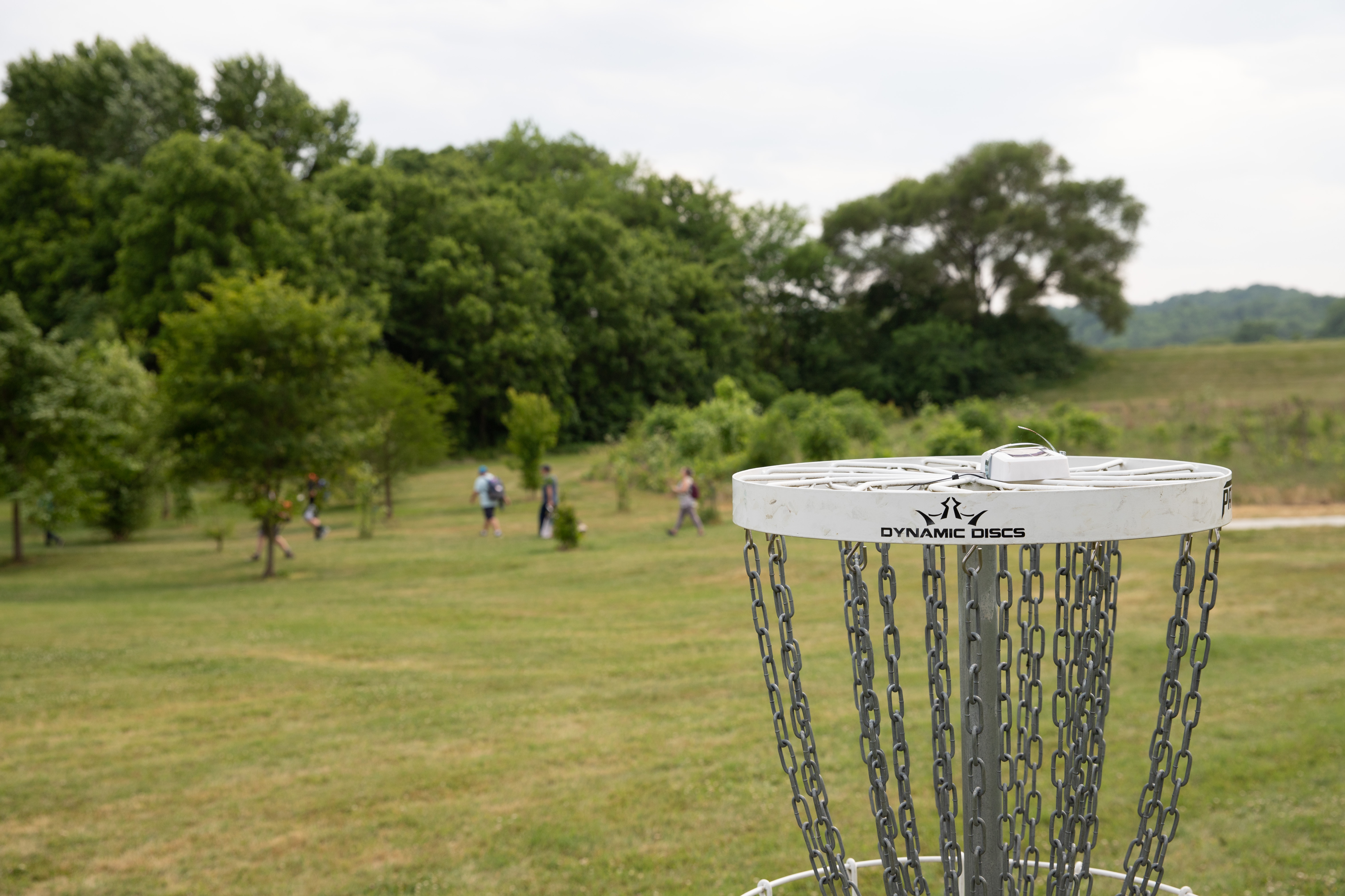Disc Golf Basket