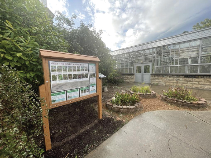 Behind the Conservatory with three mini muskegs