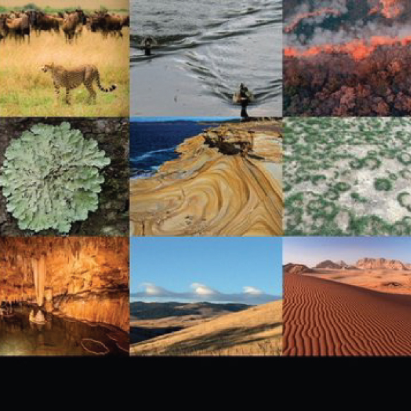 Introduction to Traveling Waves book cover