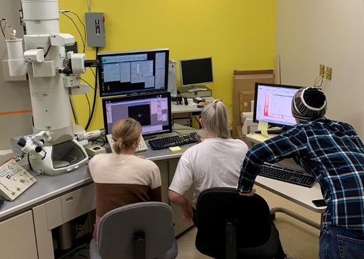 Three students research in lab.
