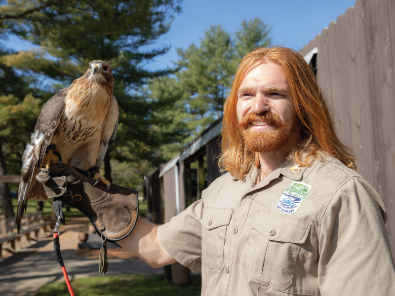 Gries a part-time naturalist at Hueston Woods is working with Adena the red-tailed hawk.