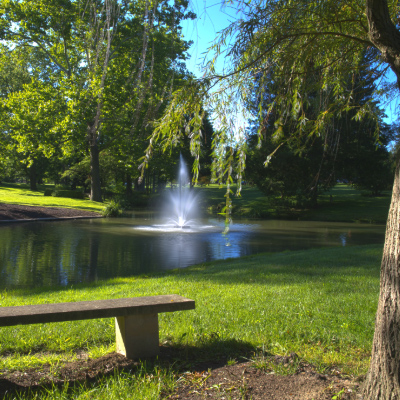 view of fountain at dogwood grove